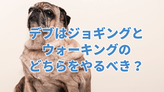 デブはジョギング ウォーキング 怪我なく痩せる正しい選択