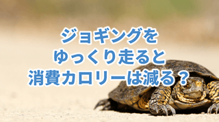 ジョギングを ゆっくり走ると 消費カロリーは減る?